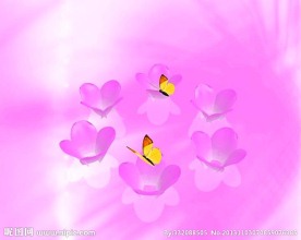 婚礼视频素材下载