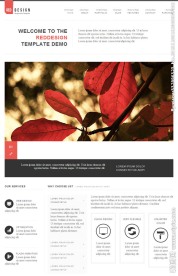 网站模板 网站模板下载