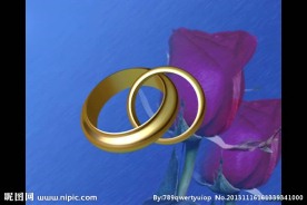 婚礼视频素材 婚