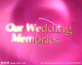 婚礼视频素材 婚