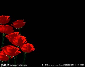 婚礼视频素材 婚