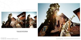 最新唯美婚纱模板