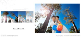 最新唯美婚纱模板