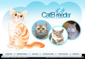 可爱咖啡猫动画模板