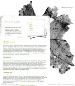 枯叶风格个人网站模板