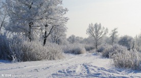 瑞雪