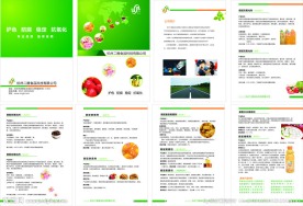 食品画册