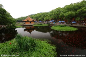 普陀山普济禅寺