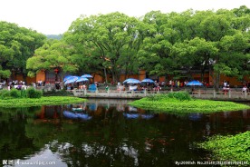 普陀山普济禅寺