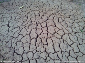 干涸土地