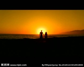 情人节视频素材