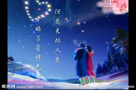 情人节视频素材