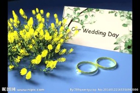 情人节视频素材