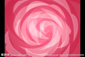 婚礼情人节视频素材