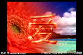 情人节视频素材