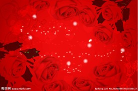 大红玫瑰情人节