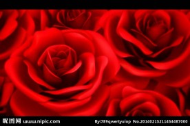 婚礼婚庆情人节视频