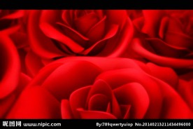 婚礼婚庆情人节视频