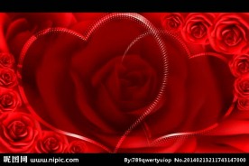 婚礼婚庆情人节视频