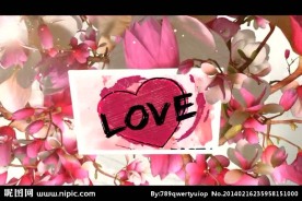 情人节七夕节视频素材