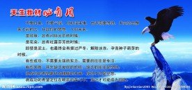 励志展板