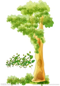矢量树木