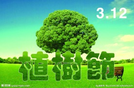 植树节