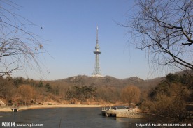 青岛信号山