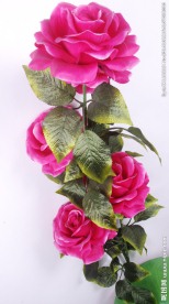 月季花