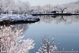 奥林匹克公园雪景