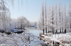 奥林匹克公园雪景