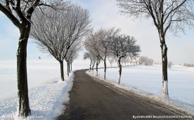 奥林匹克公园雪景