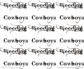 Bleeding 字体