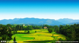 新农村