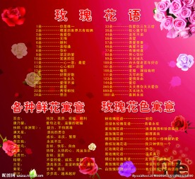 玫瑰花语
