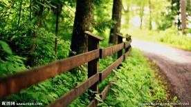 森林栅栏