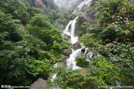 黄山 风景 黄山顶峰  