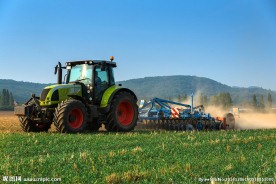 麦田