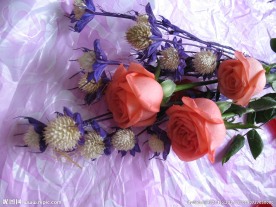 玫瑰花束