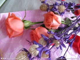 玫瑰花束