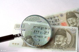 韩国货币放大镜