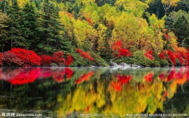 秋天树林湖泊风景图片