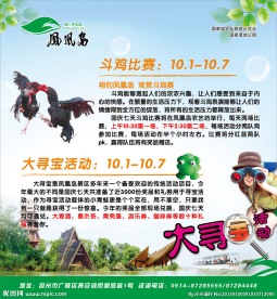 美女寻宝活动海报