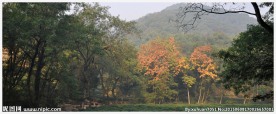 宽屏西湖风景