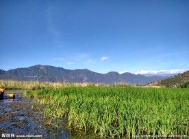 泸沽湖风光