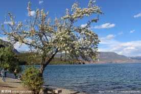 泸沽湖风光