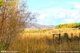 喀纳斯地质公园