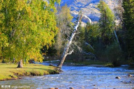 喀纳斯地质公园