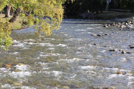 喀纳斯地质公园