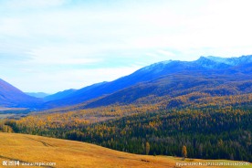 秋色的喀纳斯